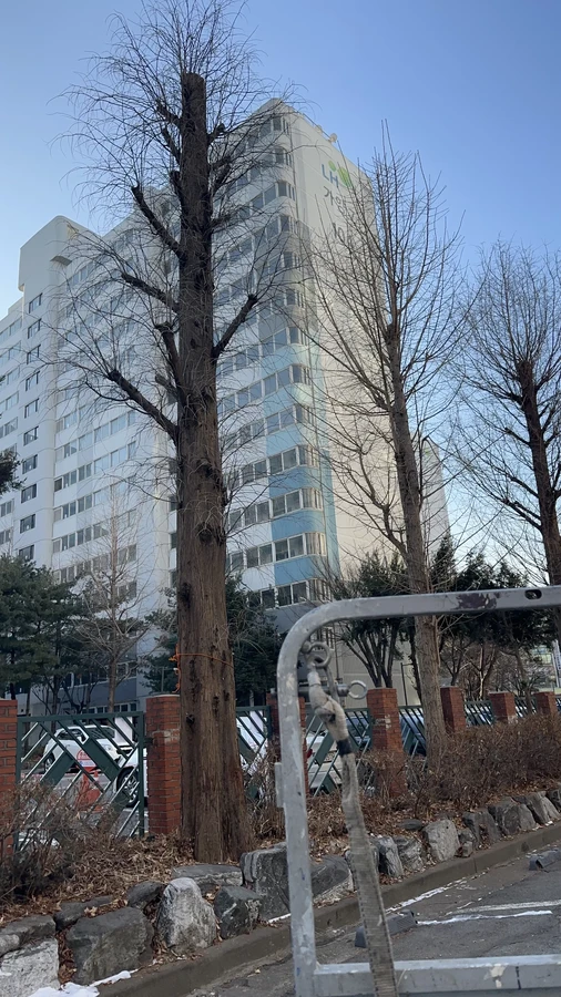 벌목,벌초