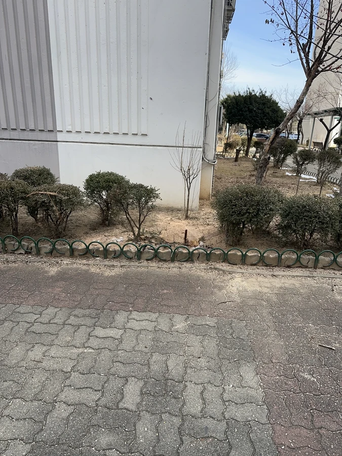 벌목,벌초
