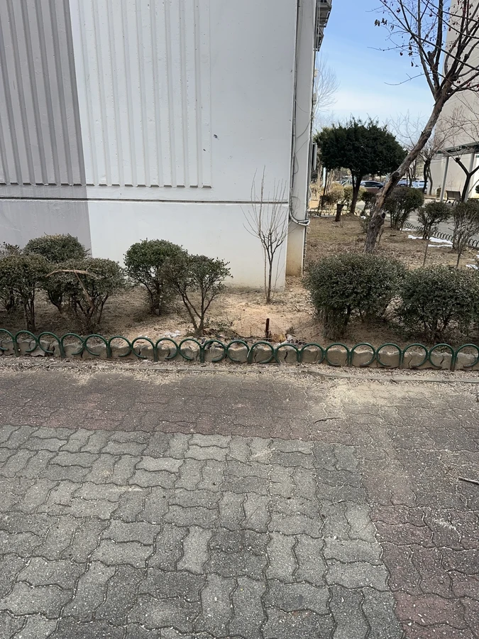벌목,벌초