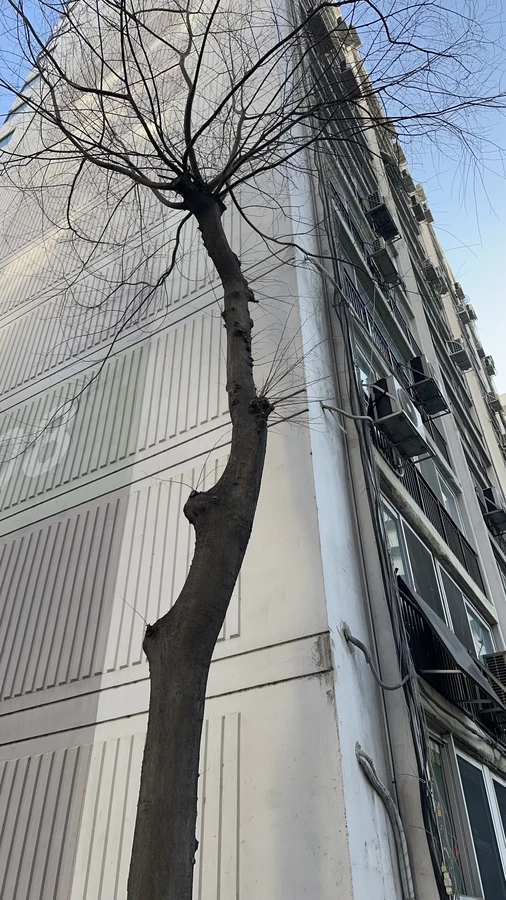 벌목,벌초