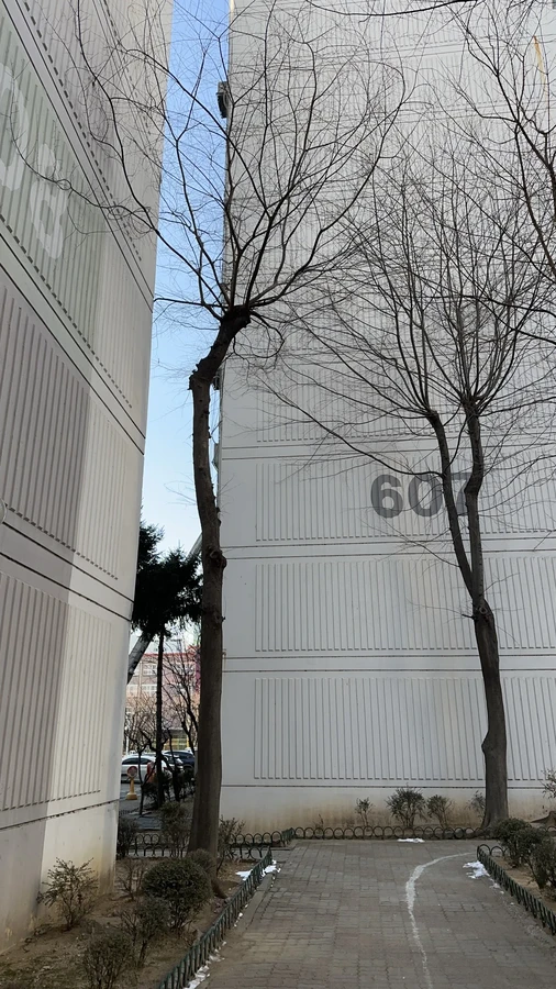 벌목,벌초