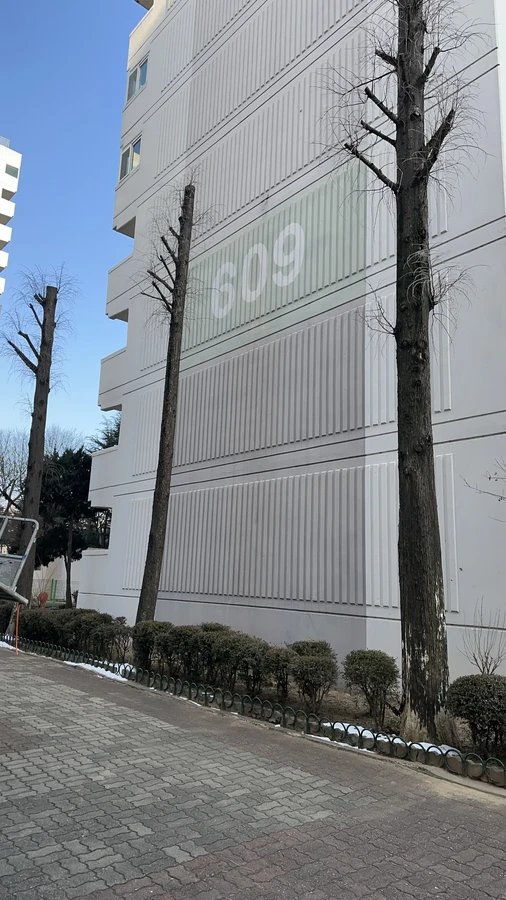 벌목,벌초