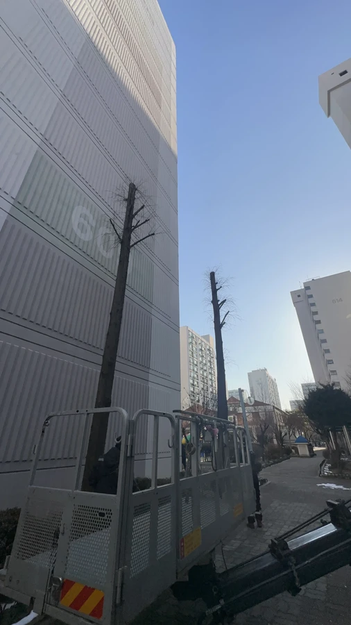 벌목,벌초