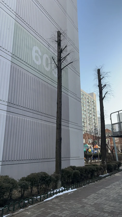 벌목,벌초