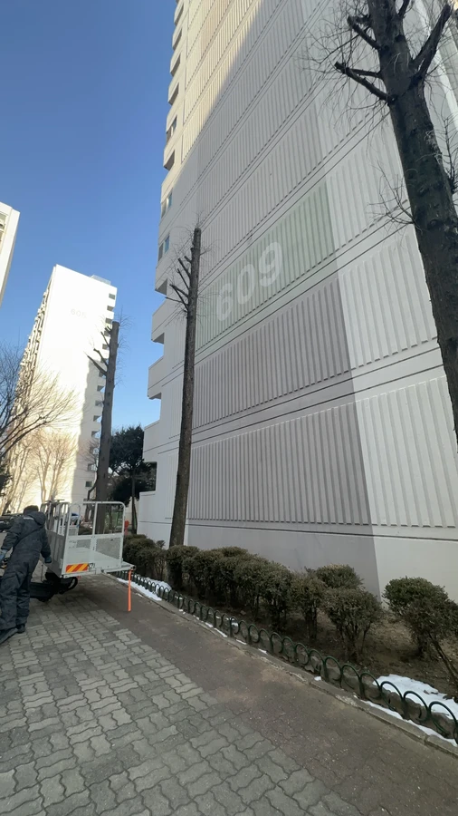 벌목,벌초