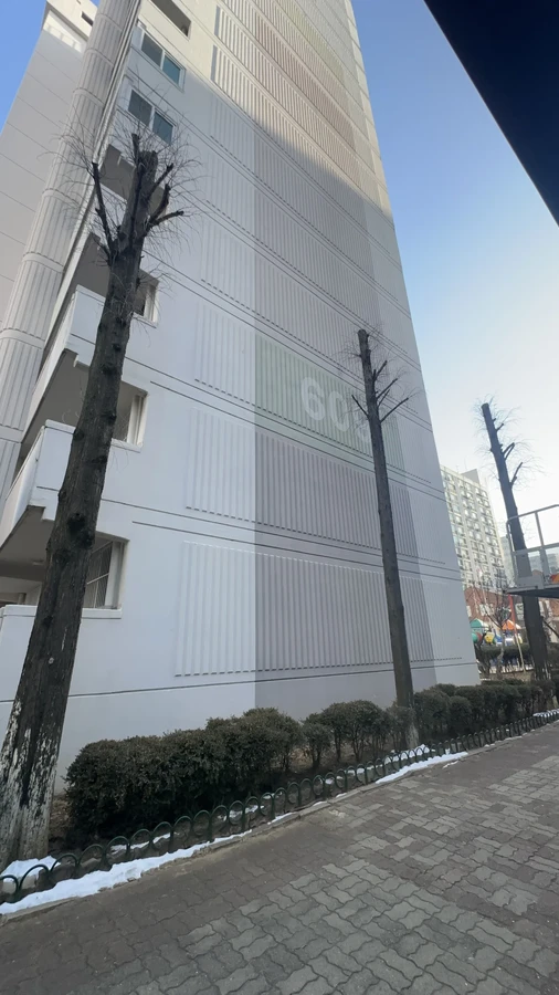 벌목,벌초