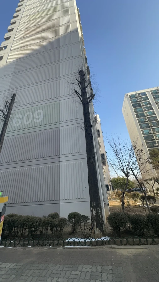 벌목,벌초