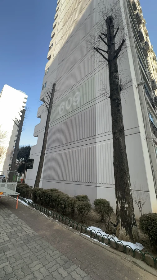 벌목,벌초