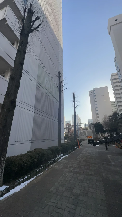 벌목,벌초