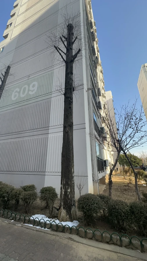 벌목,벌초