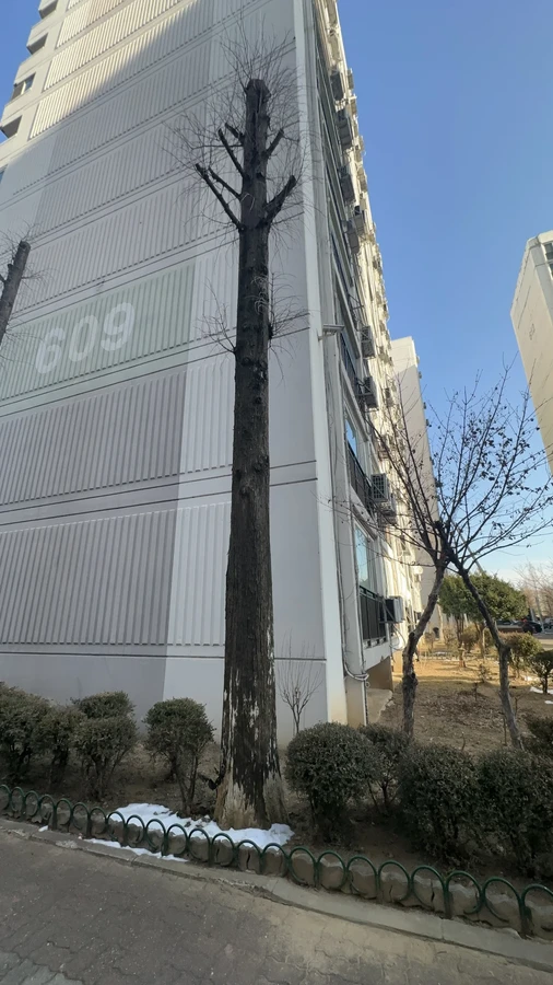 벌목,벌초