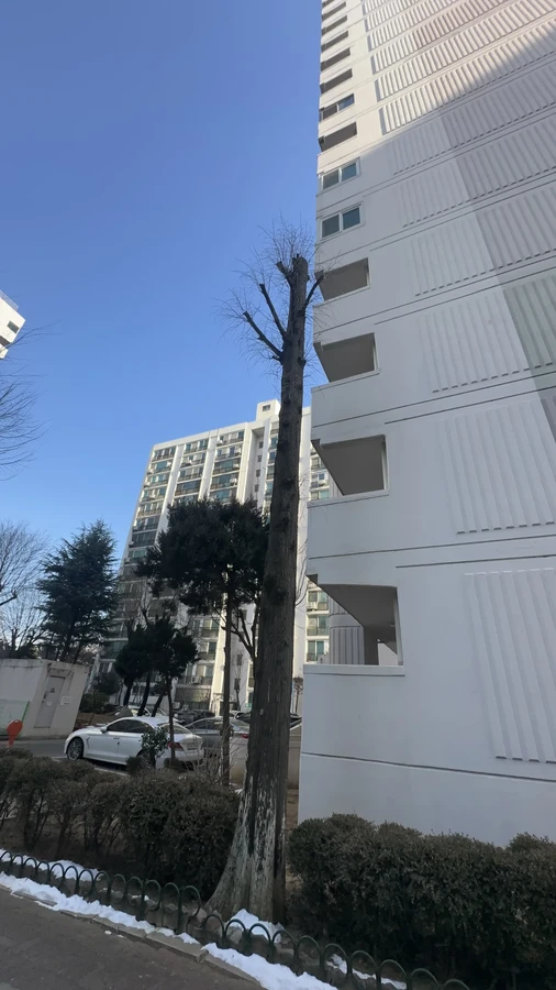 벌목,벌초