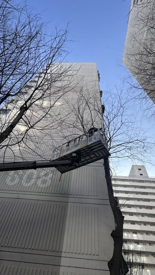 벌목,벌초