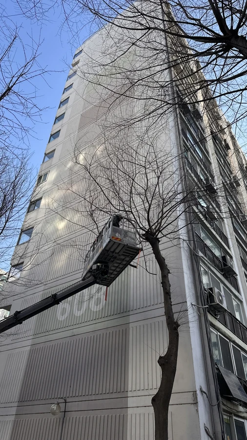 벌목,벌초