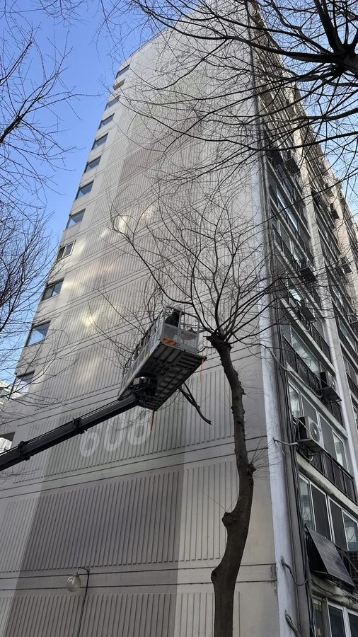 벌목,벌초