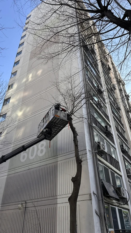 벌목,벌초