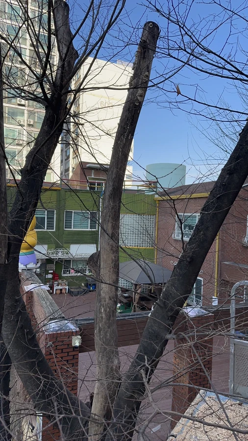 벌목,벌초