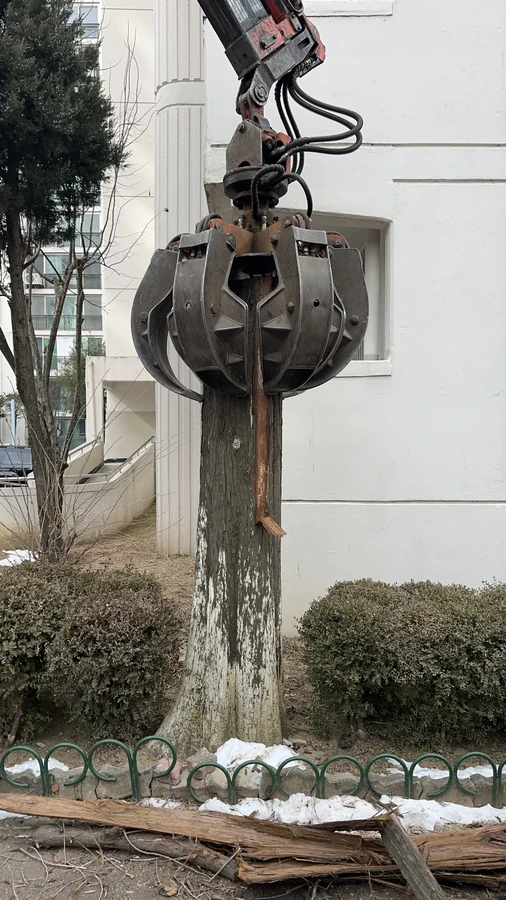 벌목,벌초