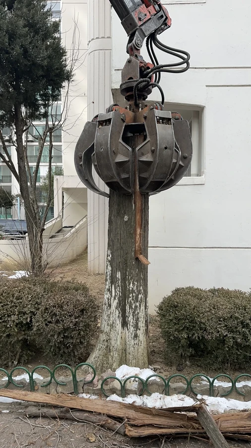 벌목,벌초