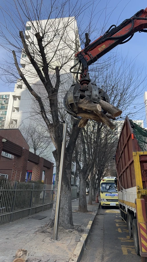 벌목,벌초