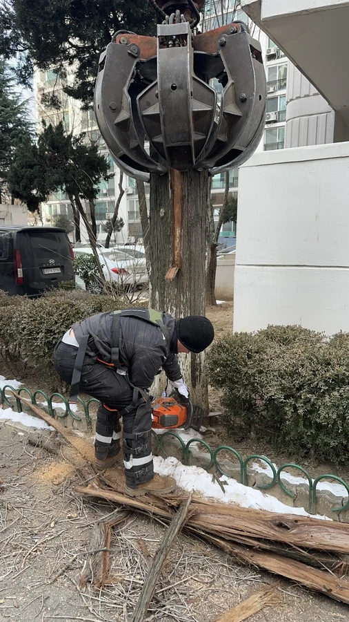 벌목,벌초