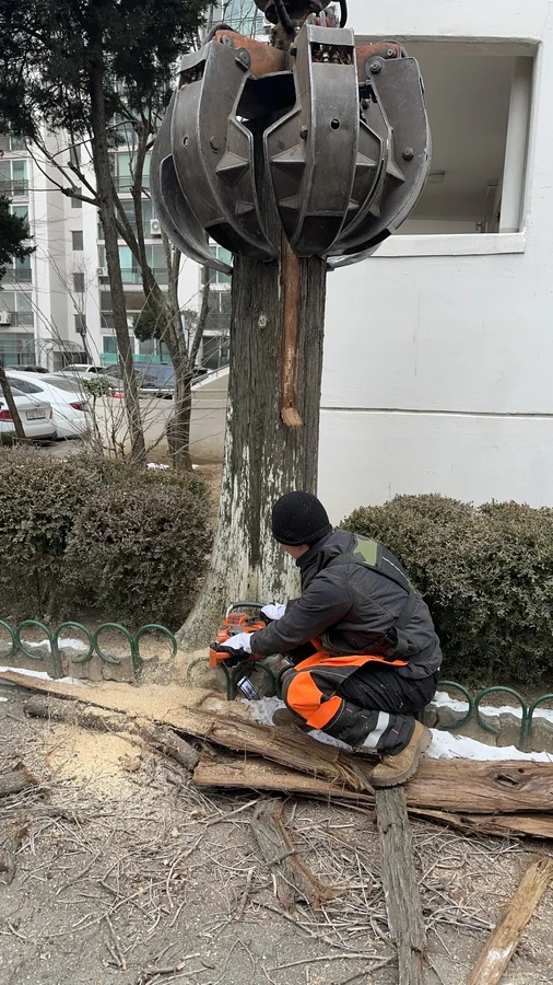 벌목,벌초
