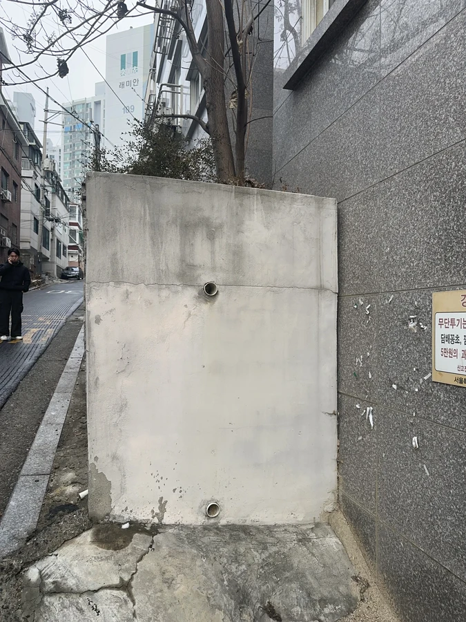 벌목,벌초