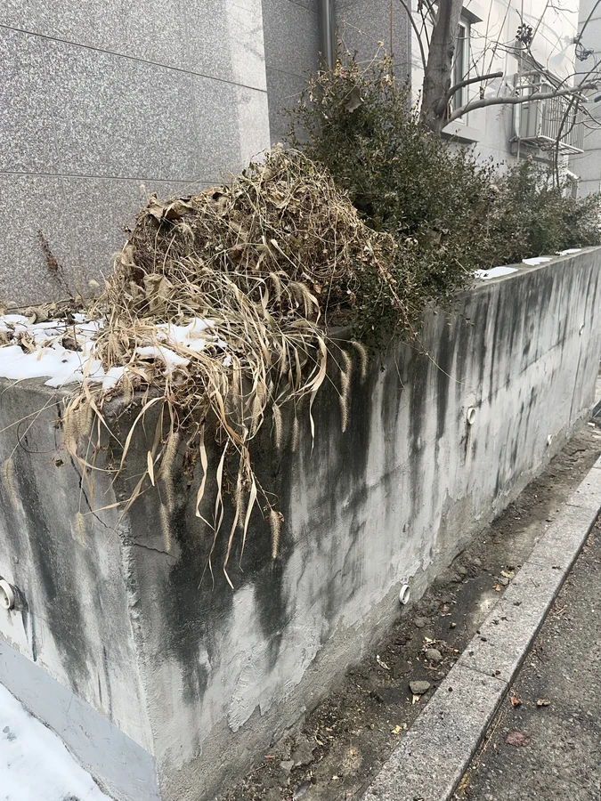 벌목,벌초