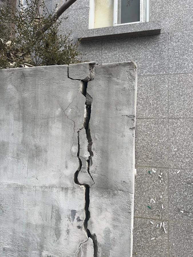 벌목,벌초