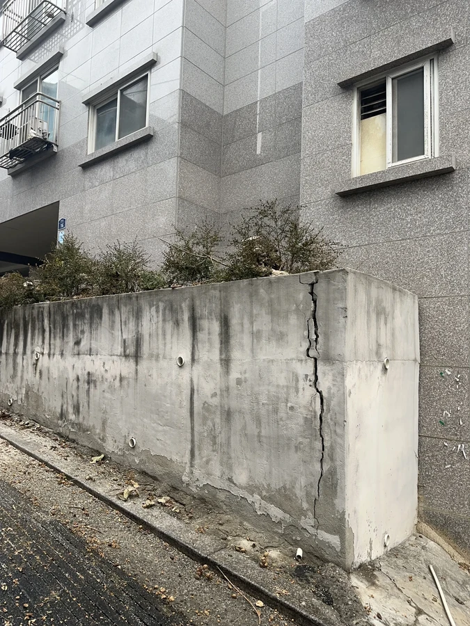벌목,벌초