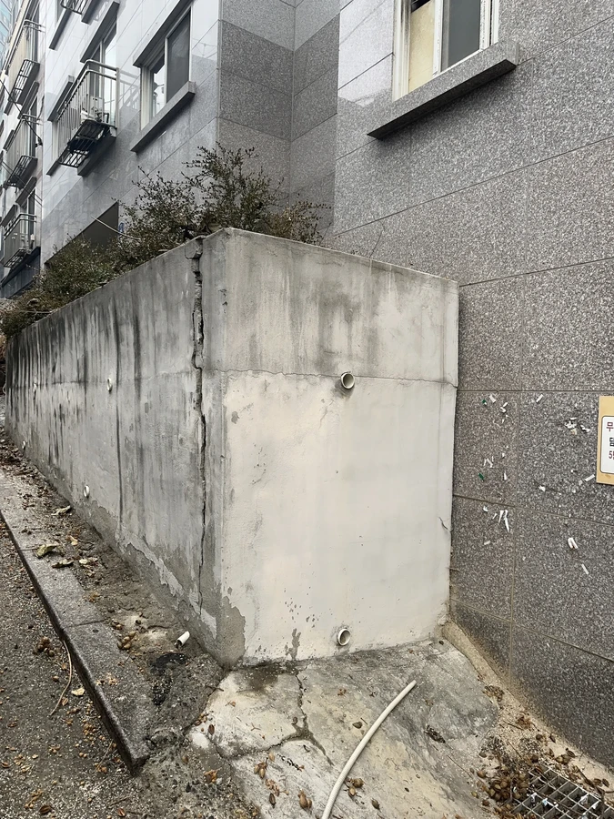 벌목,벌초