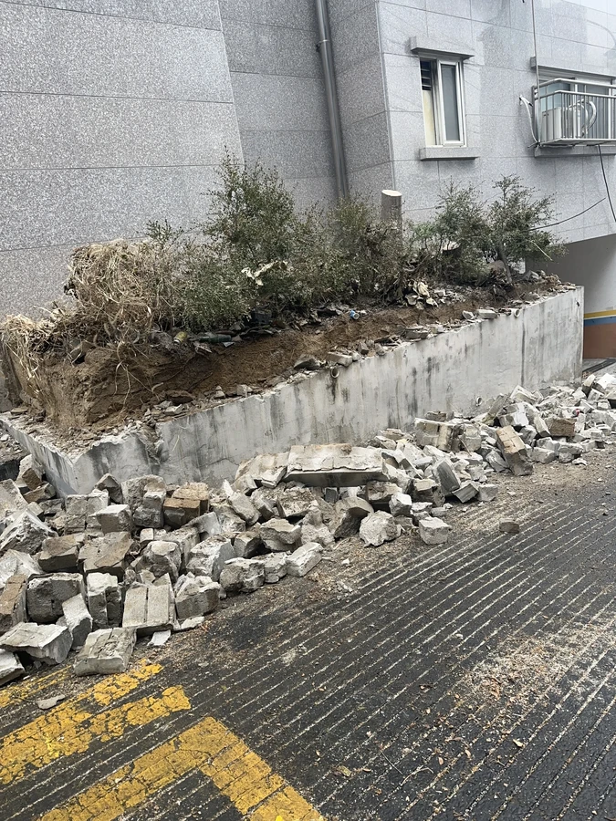 벌목,벌초