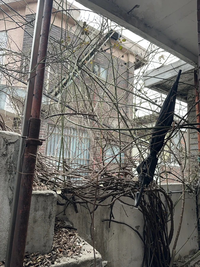 벌목,벌초