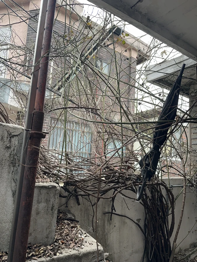 벌목,벌초