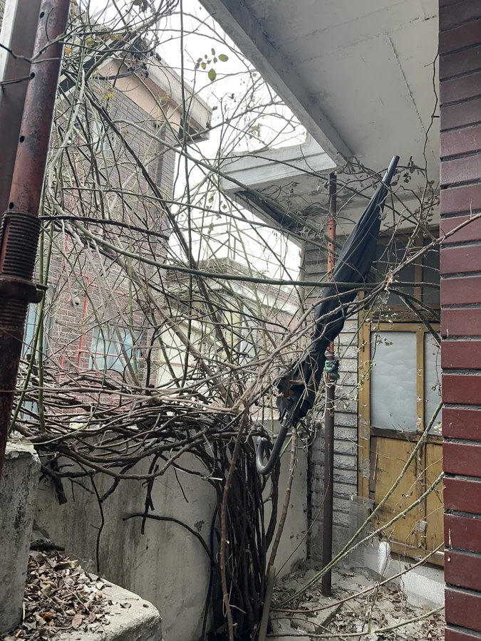 벌목,벌초