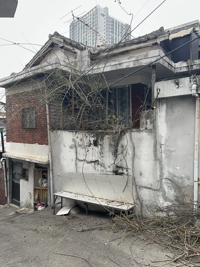 벌목,벌초