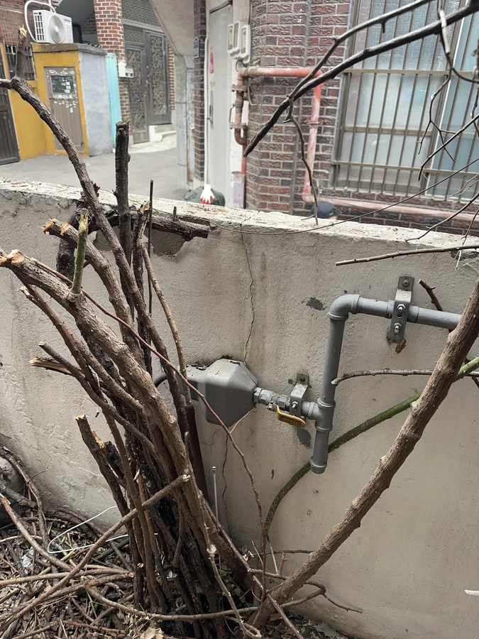 벌목,벌초