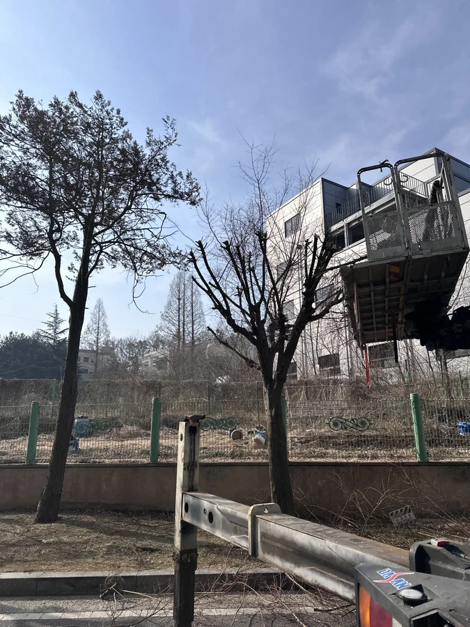 벌목,벌초