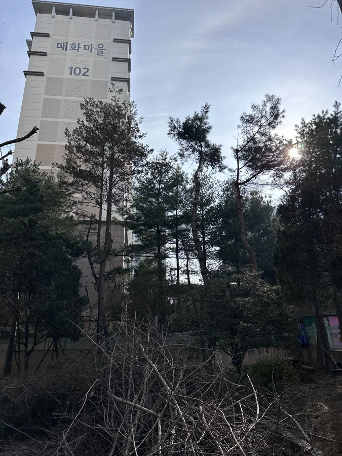 벌목,벌초