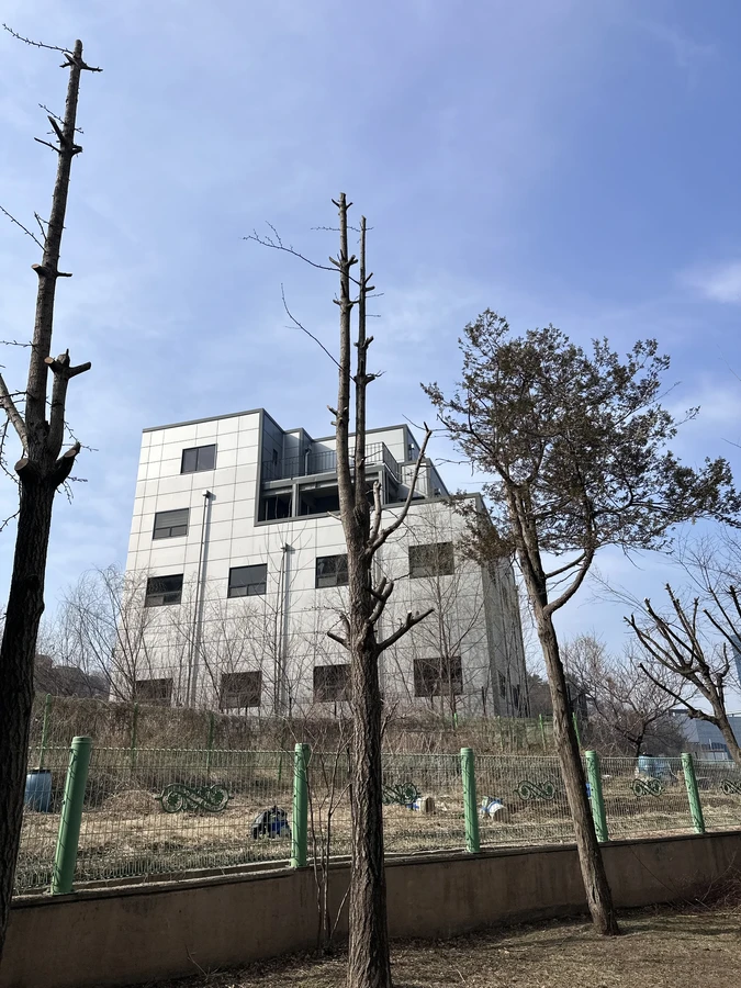 벌목,벌초