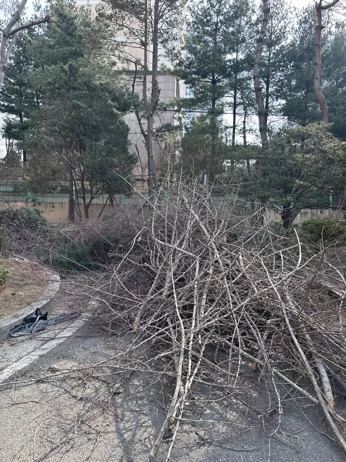 벌목,벌초