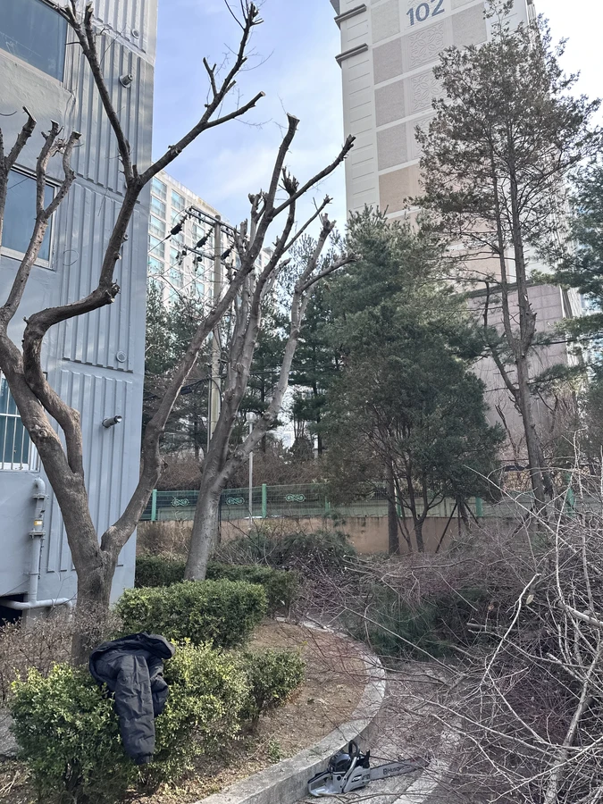 벌목,벌초