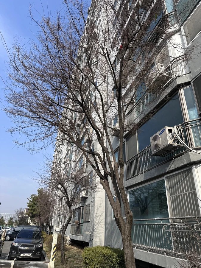 벌목,벌초
