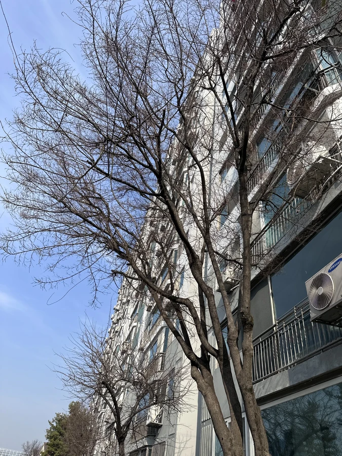 벌목,벌초