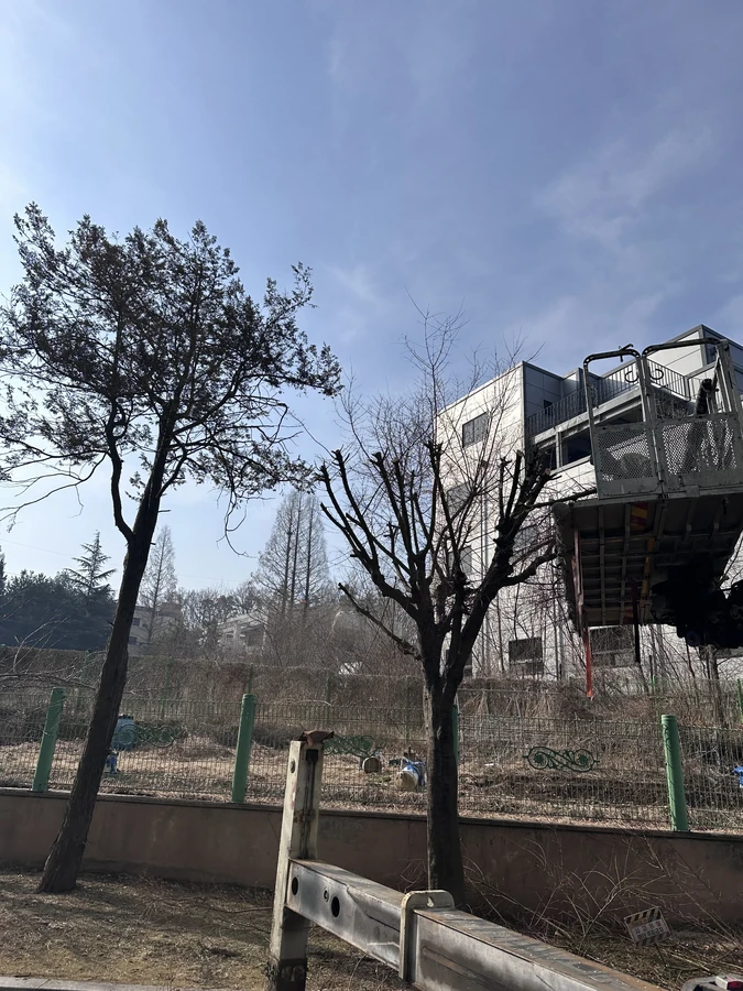 벌목,벌초