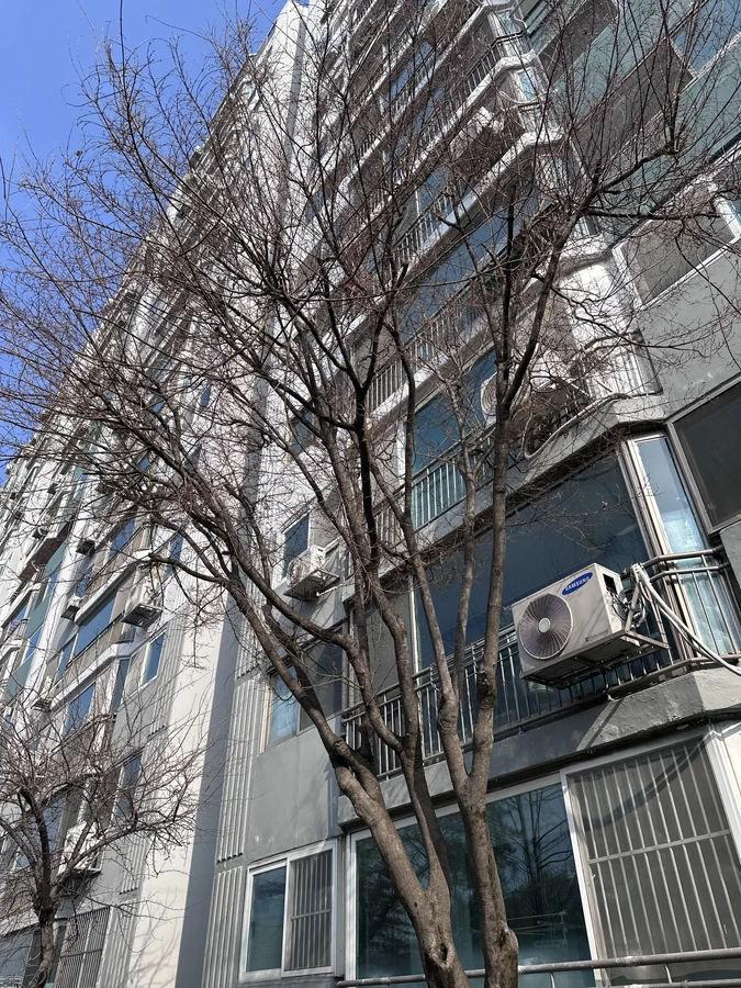 벌목,벌초