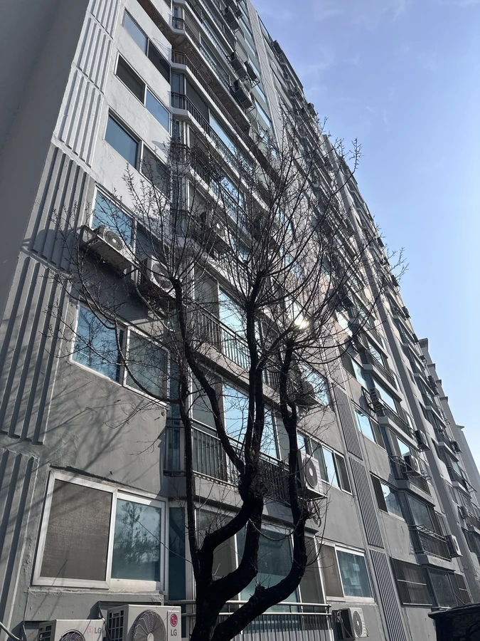 벌목,벌초