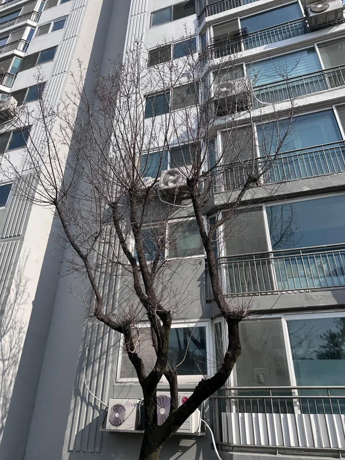 벌목,벌초