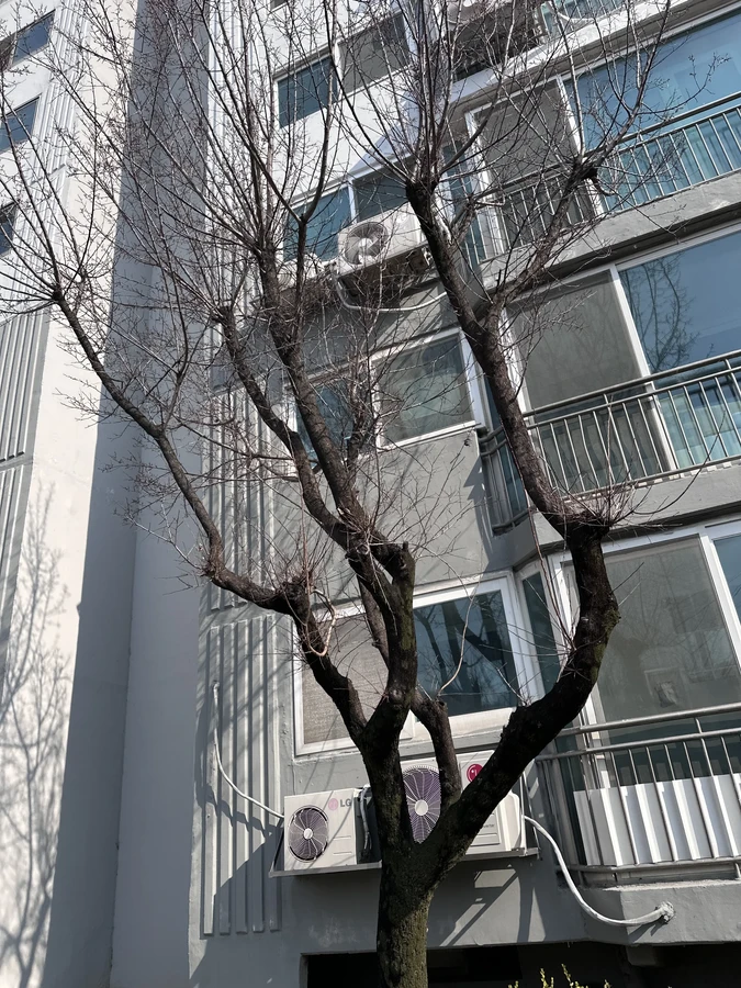벌목,벌초