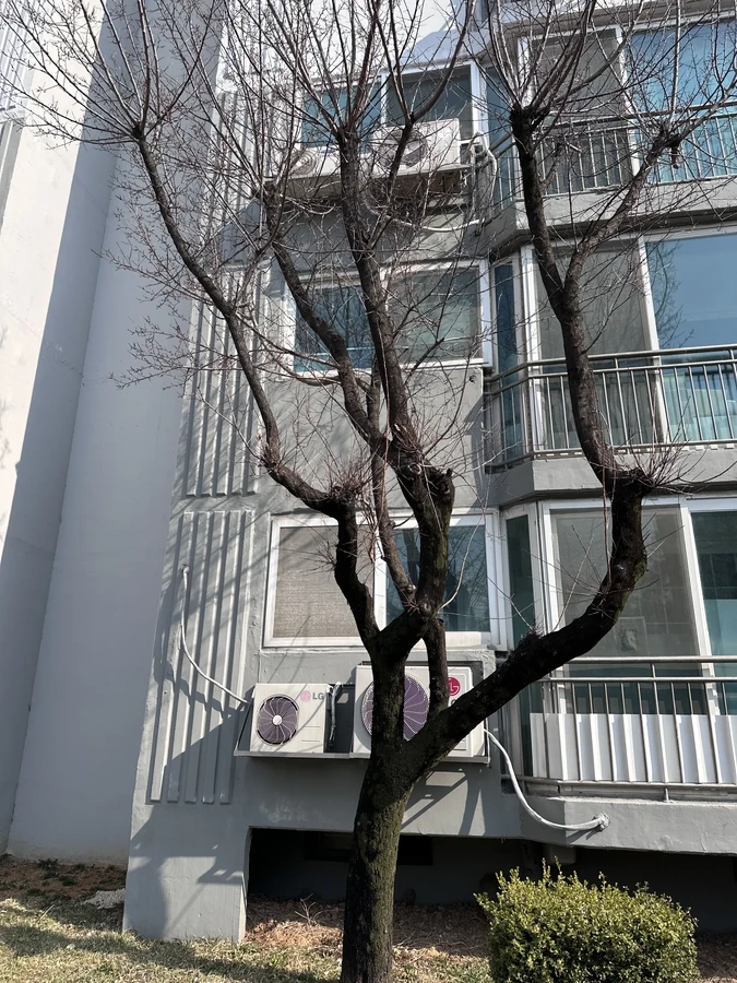 벌목,벌초